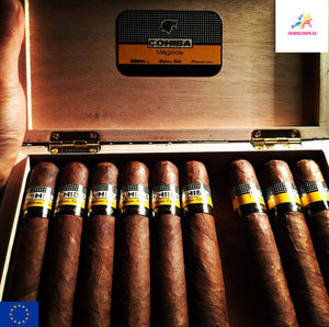 Cohiba Maduro 5 Magicos | Box of 25 (B.L.Boîte Nature Box)