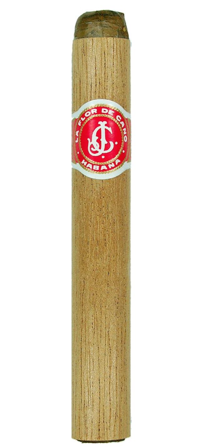 FLOR DE CANO Petit Coronas | (Dress) Box of 25