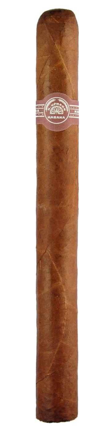 H. UPMANN Sir Winston | Varnished Cabinet of 25