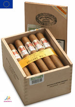 Load image into Gallery viewer, HOYO DE MONTERREY Epicure No. 1 | SLB Box 25