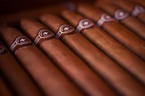 MONTECRISTO Montecristo No.2 | Box of 25 (Dress Box)